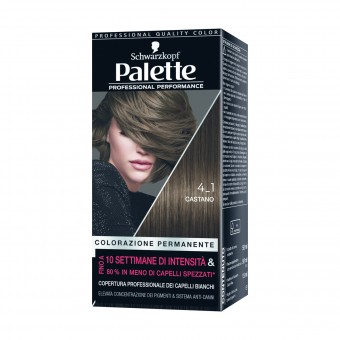 PALETTE COLORAZIONE PROFESSIONALE PERMANENTE 4,1 CASTANO, COLORANTI, S096307, 84305