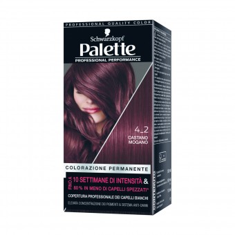 PALETTE COLORAZIONE PROFESSIONALE PERMANENTE 4,2 CASTANO MOGANO, COLORANTI, S096304, 84310