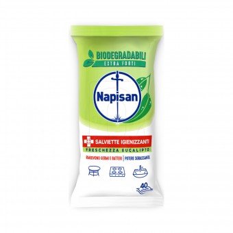 NAPISAN 40 SALVIETTE BIODEGRADABILI IGIENIZZANTI SGRASSANTI FRESCHEZZA EUCALIPTO, SALVIETTE, S153921, 84608